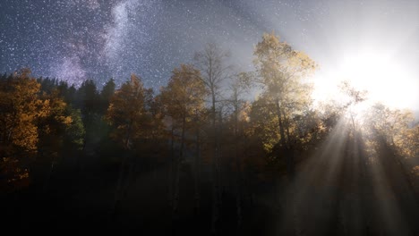 milky way stars with moonlight above pine trees forest