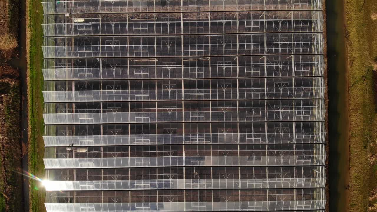 vista aérea de invernaderos agrícolas industriales en barendrecht