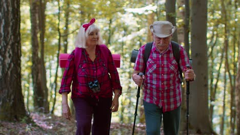 elderly couple hiking in the woods