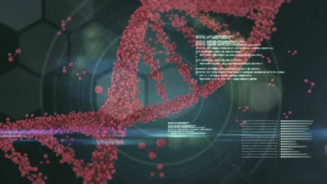 spinning dna surrounded by data informations against hexagon shapes