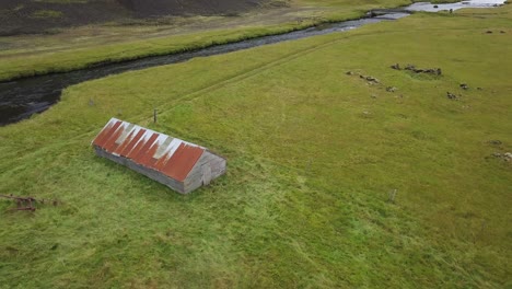 aerial video cirkeling a barn in iceland