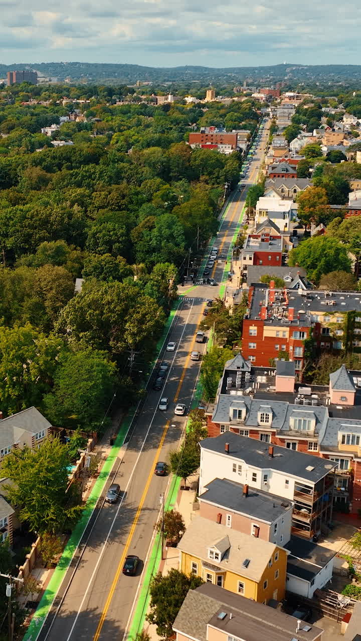Sunny view of Cambridge, Massachusetts, USA. Low-rise buildings surrounded by lush greenery. Top perspective.. Vertical video