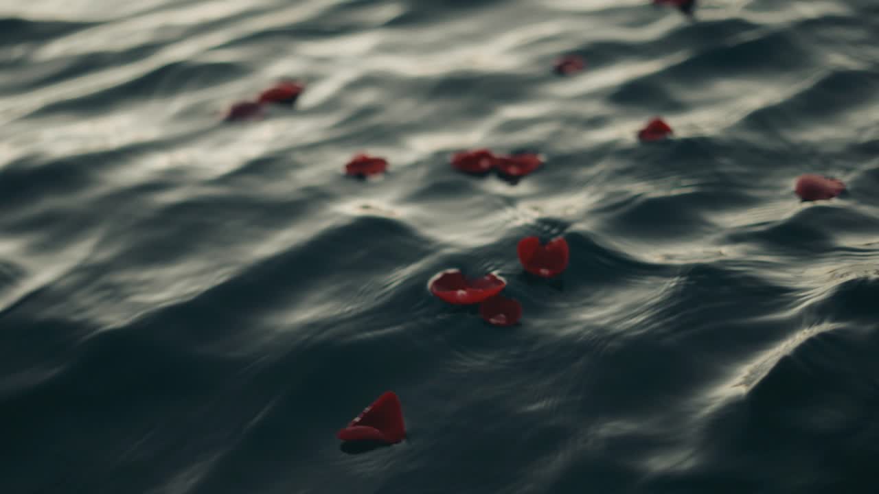 바다에서 붉은 장미 꽃잎 - 가까이