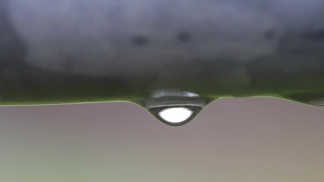Water droplet formed on bar of gate. UK