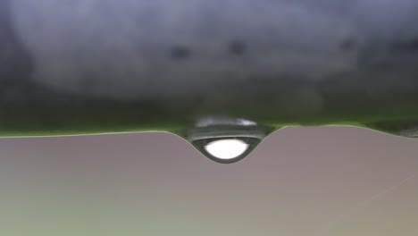 water droplet formed on bar of gate. uk