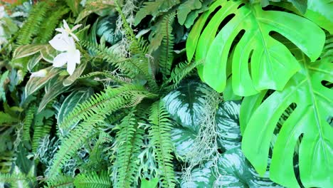 vibrant green foliage with diverse plant species