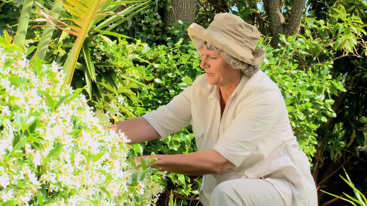 성숙 한 여자 가 관목 을 가공 하고 있다