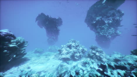 underwater coral reef scene