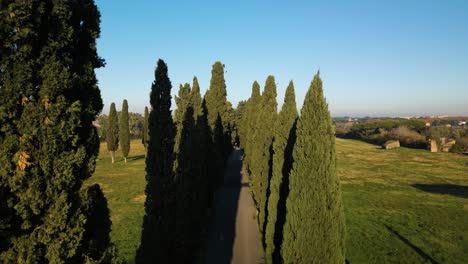 Ascenso-Aéreo-A-Lo-Largo-De-La-Vía-Apia-En-Un-Verde-Y-Exuberante-Paisaje-Al-Atardecer