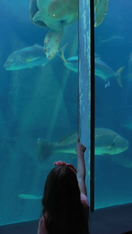 couple admiring sea turtle swimming with fish