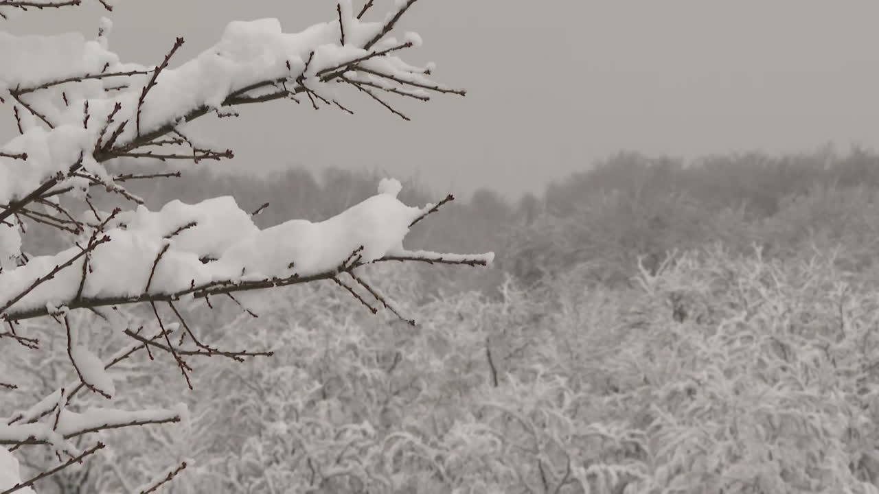눈  ⁇ 인 겨울 풍경