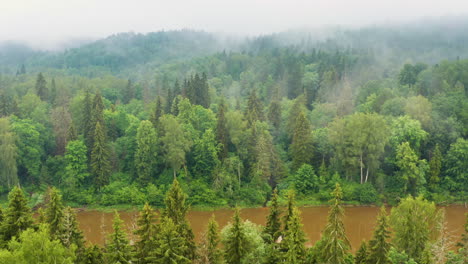 Slow-flight-along-a-river-flowing-through-a-rich-forest