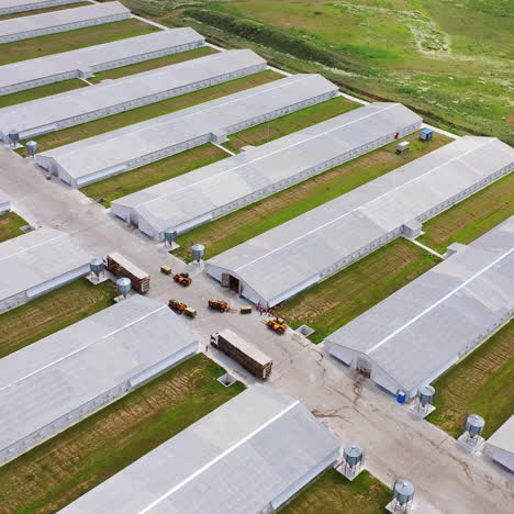 aerial view on contemporary farm complex. flight over agricultural territory with modern structure for livestock. slow motion.