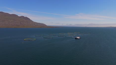 discover the stunning beauty of iceland’s salmon farms through captivating drone footage, showcasing the serene waters and innovative aquaculture practices.