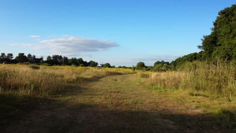 beautiful nature trail in countryside of england