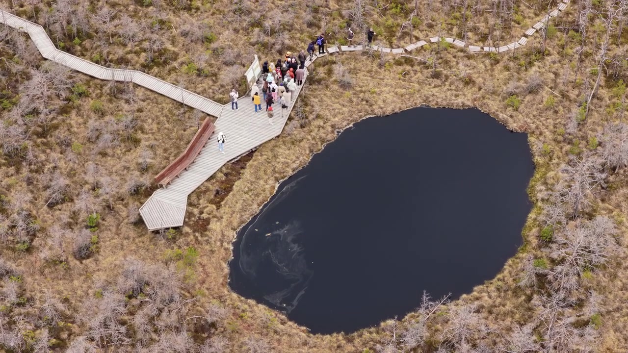 Vista aerea dall'alto di uno stagno ovale in torbiera con una piattaforma passerella e una folla, Tinovul Mohos, Harghita, Romania