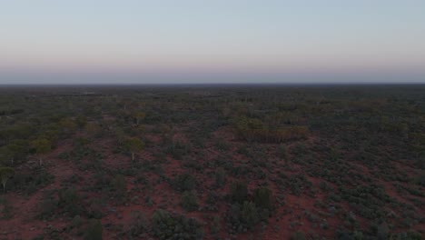 Drohnenclip,-Der-Den-Einzigartigen-Lebensraum-Des-Australischen-Outbacks-Mit-Blick-Bis-Zum-Horizont-Zeigt