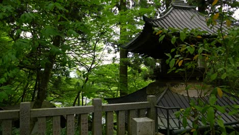 beautiful dolly in over japanese pagoda inside deep green lush forest