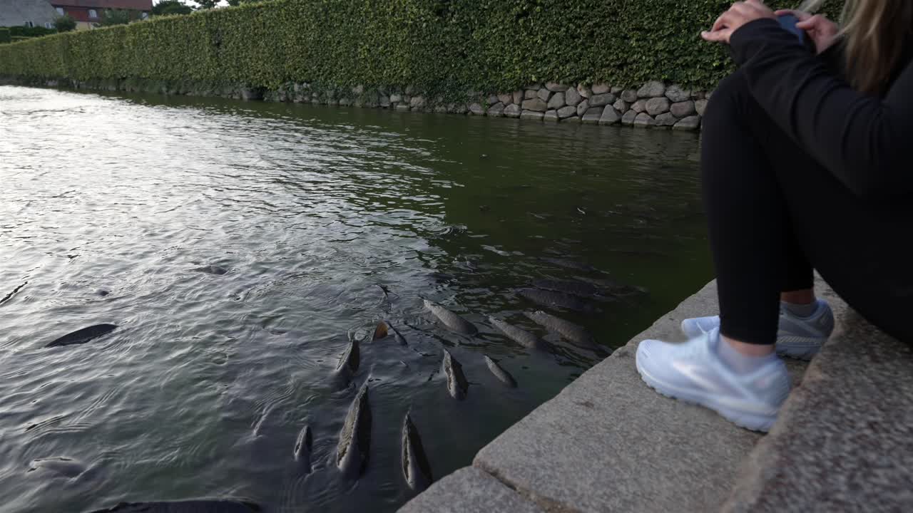 Human interaction with nature. Woman admiring fish in a pond.