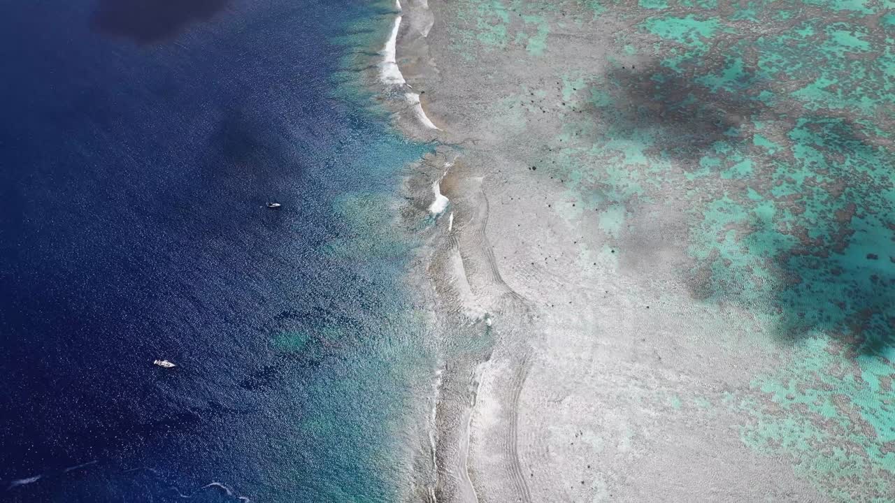 쿡 제도 - 파도를 따라 날아가는 아이투타키