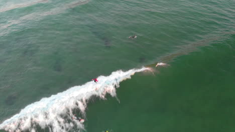 surfer surfing with the wave on the clear blue ocean in algarve, portugal - aerial drone