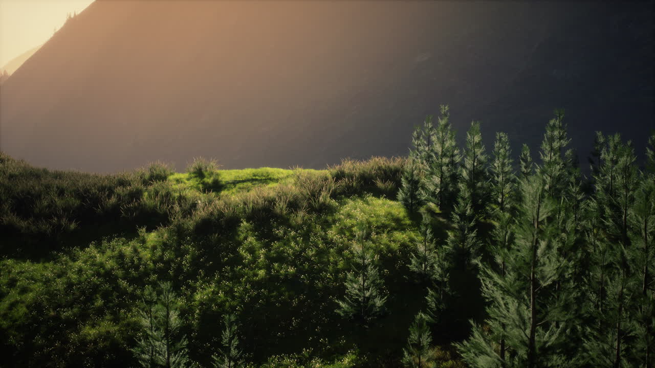 산에서 안개와 함께 가을 아침