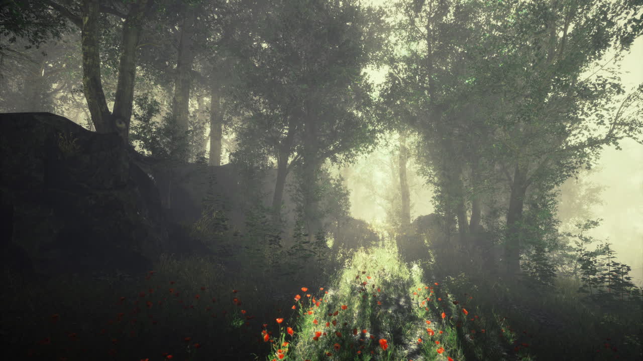 Light filtering through trees over a flower lined pathway in a forest