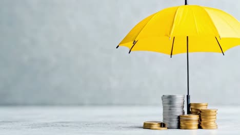 financial security and protection