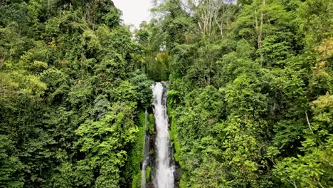 A-drone-shot-capturing-the-dynamic-flow-of-a-waterfall-surrounded-by-lush-green-foliage-in-a-dense-forest