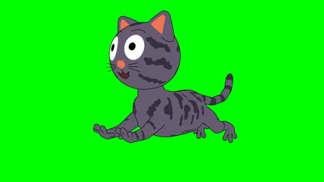 cat  running animation.