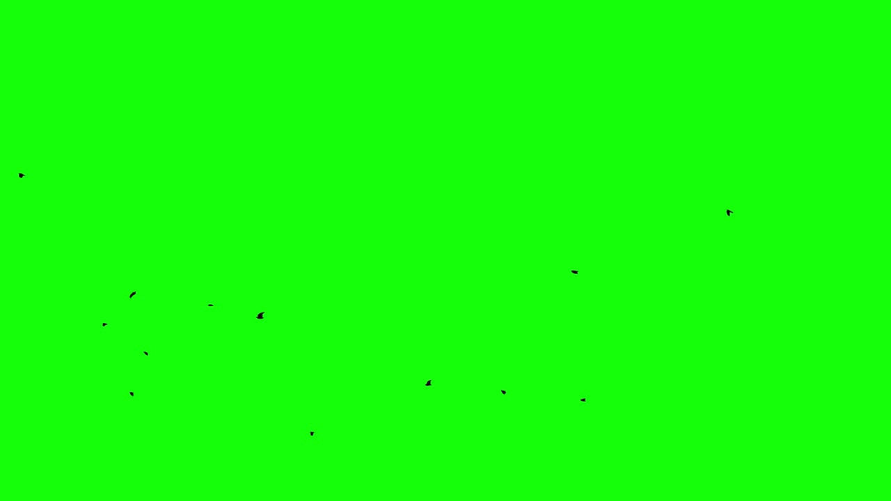 크로마 키 (chroma key) 새들은 하늘에서 불을 치고 알파 채널 (alpha channel) 스 비디오를 볼 수 있습니다.