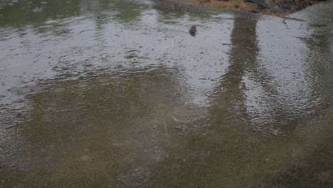 close-up-heavy-rain-fall-or-concrete-with-reflection