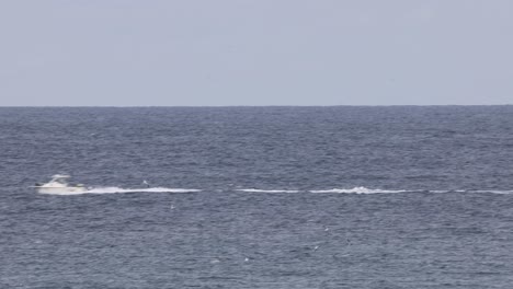 speedboat moving fast on a calm ocean surface