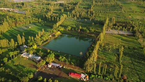 downward-drone-flight-over-the-fields-and-an-artificial-lake-in-the-middle-of-the-plantations-collecting-rainwater-for-agricultural-purposes-at-wonosobo-in-central-java-indonesia