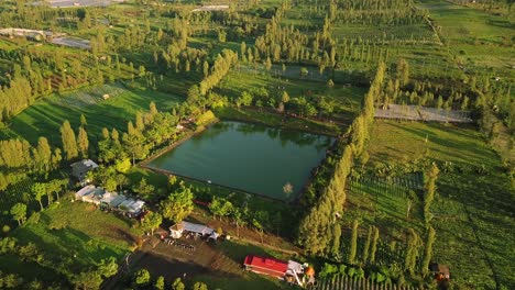 Vuelo-De-Drones-Hacia-Abajo-Sobre-Los-Campos-Y-Un-Lago-Artificial-En-Medio-De-Las-Plantaciones-Recolectando-Agua-De-Lluvia-Para-Fines-Agrícolas-En-Wonosobo-En-Java-Central-Indonesia