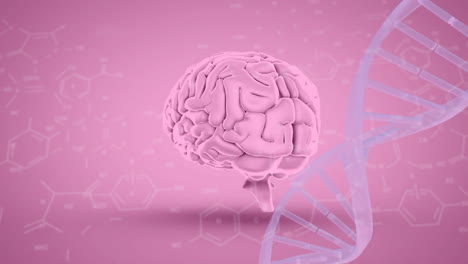 animación de la cadena de adn, el cerebro humano y el procesamiento de datos científicos.