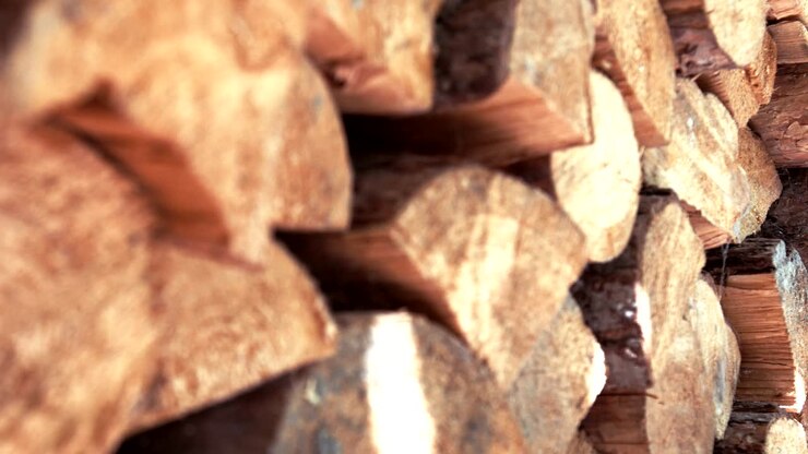 Wooden Pile Logs closeup Focus Movement In Sunny Day