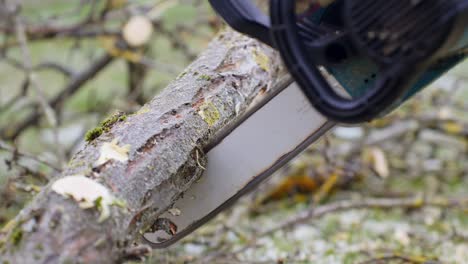 closeup of hands' worker cutting tree branch with chainsaw, static, outdoor