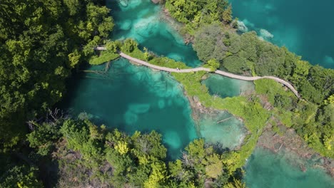 多くの緑の植物と美しい湖、そして人々が歩く森に沿った遊歩道がある美しいプリトヴィッツェ湖群国立公園の素晴らしい景色