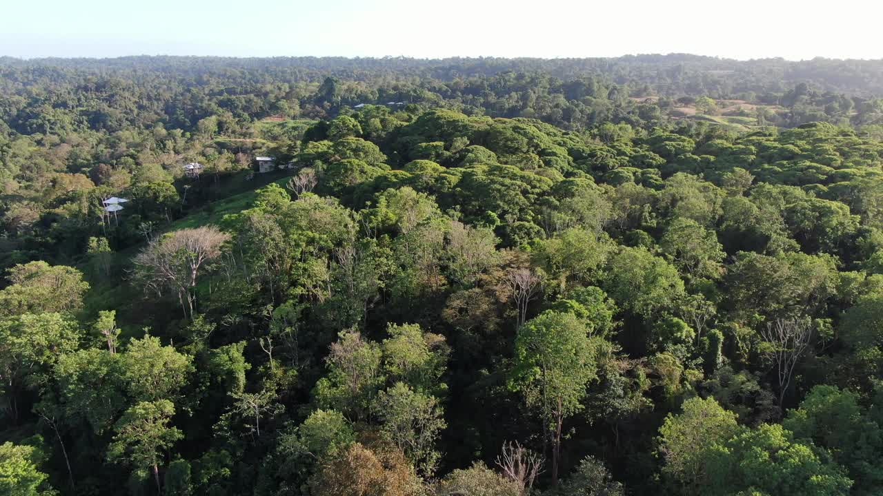 vista de drones de la playa de costa rica volando sobre un bosque verde lleno de árboles en un día soleado junto a la costa del pacífico