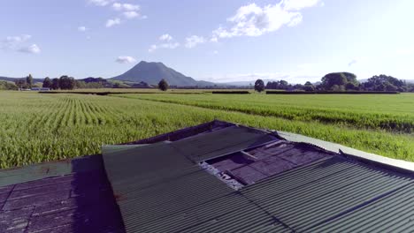 Corn field behind barn filmed on a sunny day