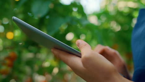 granjero de primer plano recopilando datos del cultivo de árboles con una tableta tecnológica