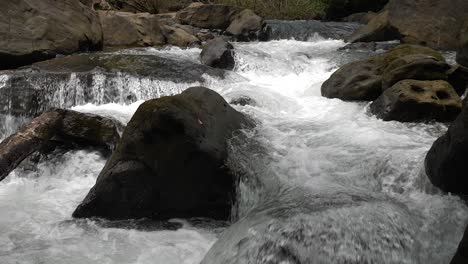 rápidos de agua en el río brotando a alta velocidad