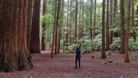 Horizontales-Video-Einer-Frau,-Die-Durch-Den-Redwood-Wald-Spaziert-Und-Die-Schönheit-Neuseelands-Bewundert