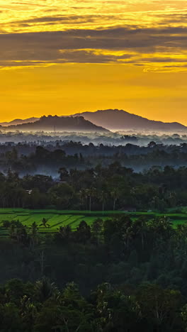 timelapse of golden twilight sky at sunset over tropical forest and agricultural landscape, bali, aerial, vertical
