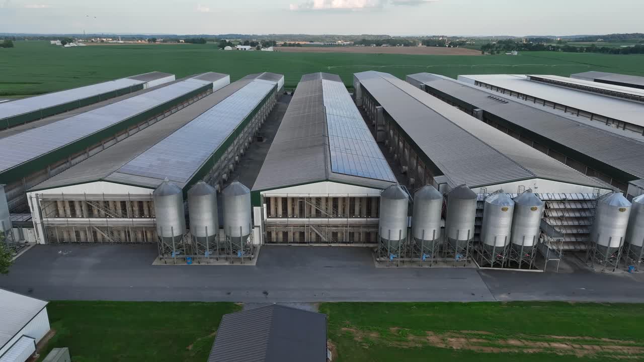 granja de pollos en los ee.uu.