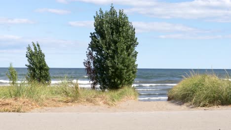 9 segundos vista de suave oleaje más allá de un camino de acceso a la playa, luego un ciclista pasando de derecha a izquierda, seguido de 5 segundos más de soledad