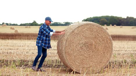 smiling farmer rolling hay bale and gesturing in farm