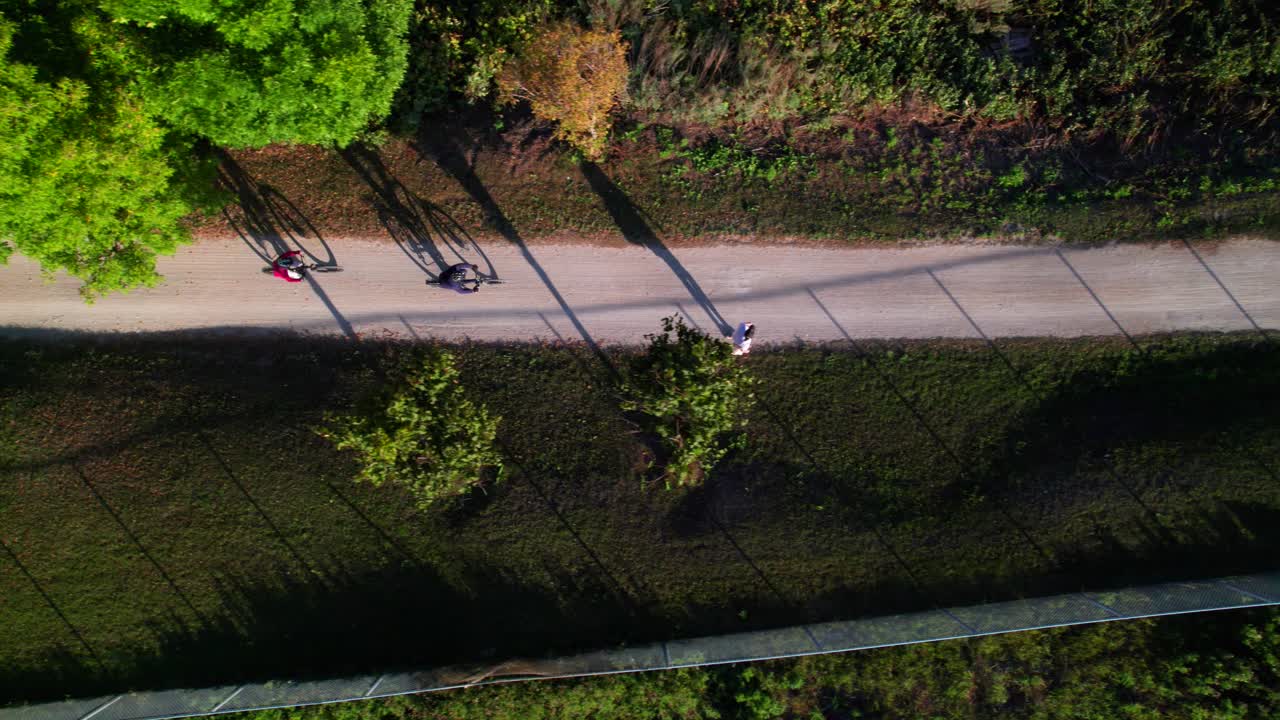 아름다운 자전거 트레일에 긴 그림자를 던지는 자전거 타는 사람들의 시원한 상공 전망, 4k 30p