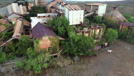 Hoch-über-Der-Verlassenen-Zuckerfabrik-Koloa-In-Kauai,-Hawaii,-Luftaufnahme